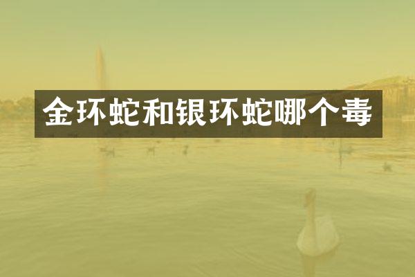 金环蛇和银环蛇哪个毒