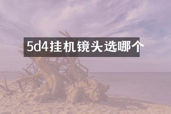 5d4挂机镜头选哪个