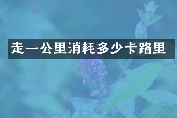 走一公里消耗多少卡路里