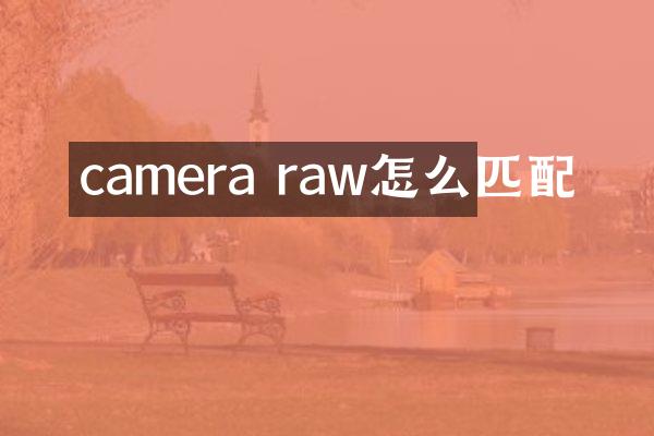 camera raw怎么匹配