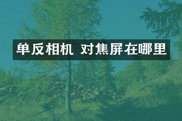 单反相机 对焦屏在哪里