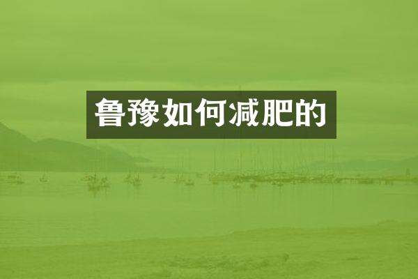 鲁豫如何减肥的