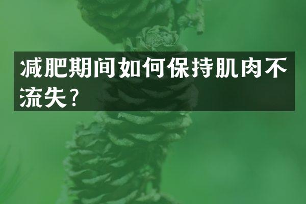 减肥期间如何保持肌肉不流失？