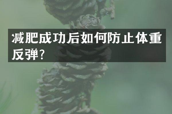 减肥成功后如何防止体重反弹？