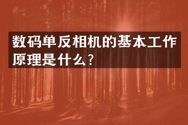 数码单反相机的基本工作原理是什么？