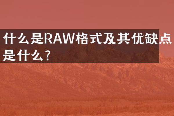 什么是RAW格式及其优缺点是什么？