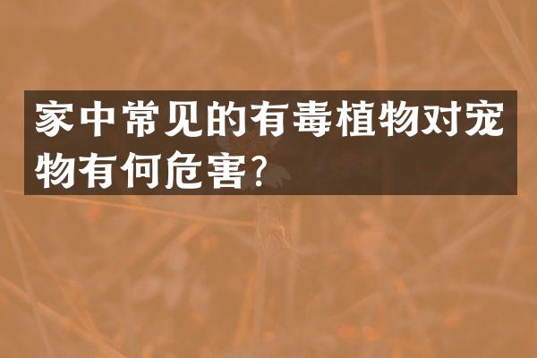 家中常见的有毒植物对宠物有何危害？